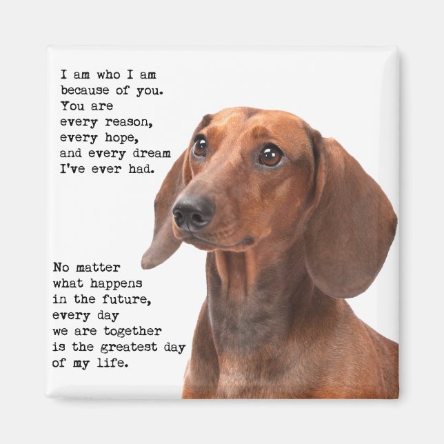 Dachshund Magnet (Framsidan)