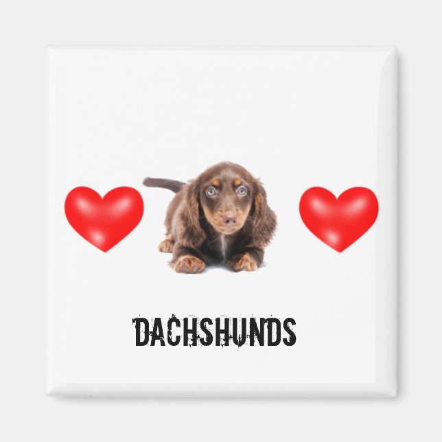 Dachshund Magnet (Framsidan)