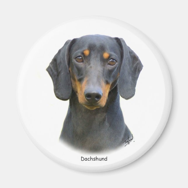 Dachshund Magnet (Framsidan)