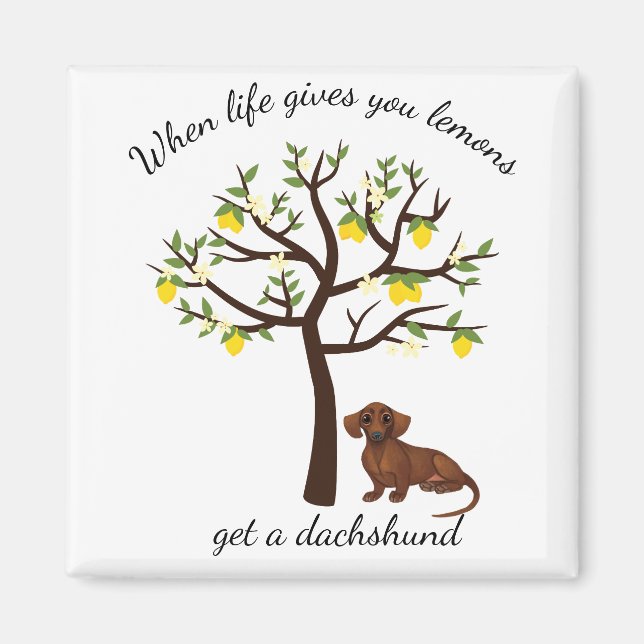 Dachshund Magnet när Life Ge du lejonger (Framsidan)