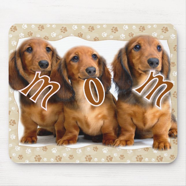 Dachshund MAMMA Musmatta (Framsidan)