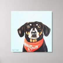 Dachshund med 24 x 24 socklar