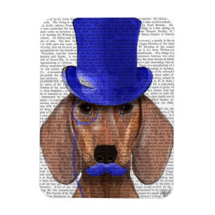 Dachshund med blå Top hat och blå mustache Magnet