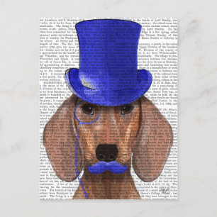Dachshund med blå Top hat och blå mustache Vykort