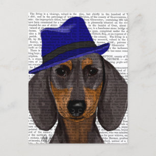Dachshund med blå trilby vykort