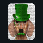 Dachshund med Grönt Top hat och Mustache Magnet<br><div class="desc">Husdjur</div>