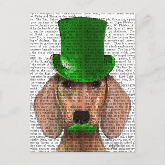 Dachshund med Grönt Top hat och Mustache Vykort (Framsida)