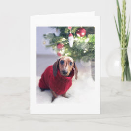 Dachshund med Julgran-julkort Anteckningskort