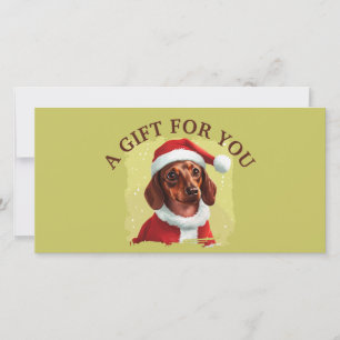 Dachshund med Jultomten-utrustning - jul 1