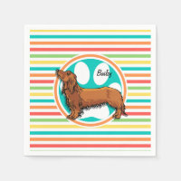 Dachshund med lång livslängd, Bright Rainbow Rand