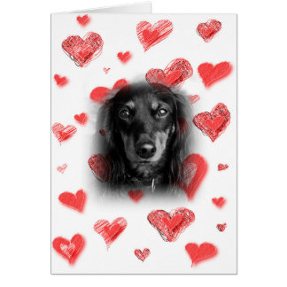 Dachshund med Röda hörnkort Hälsningskort