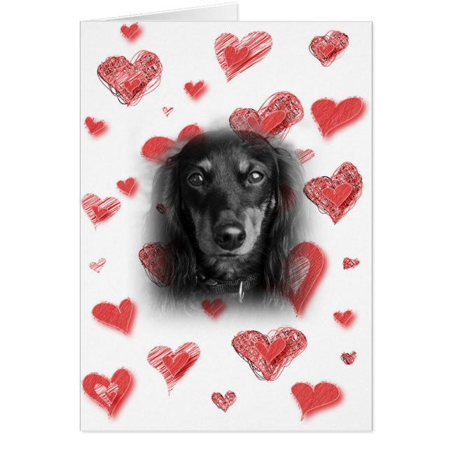 Dachshund med Röda hörnkort Hälsningskort (Framsidan)