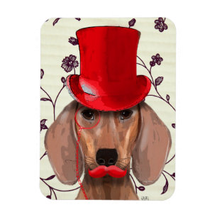 Dachshund med Röda Top hat Magnet