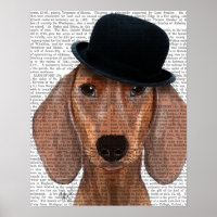 Dachshund med Steampunk Bowlareare Hat