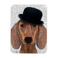Dachshund med svart Bowlareare Hat