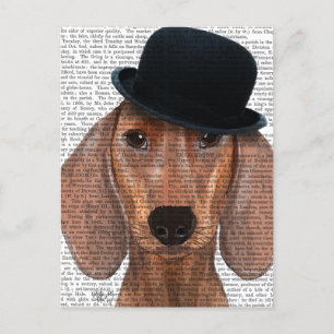 Dachshund med svart Bowlareare Hat Vykort