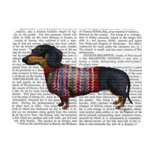Dachshund med Wooly Sweater Magnet