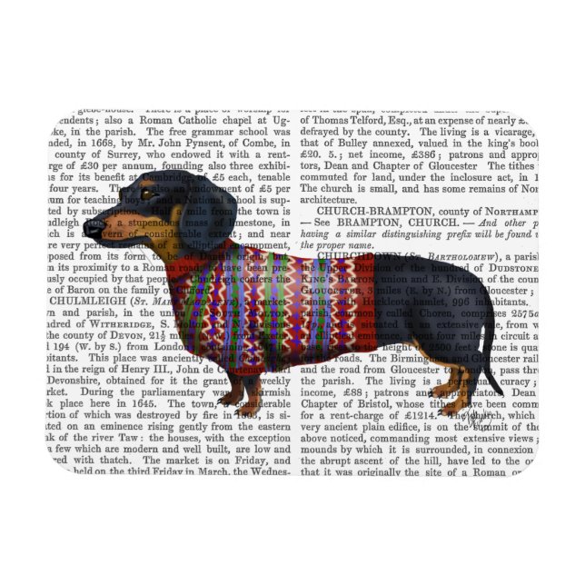 Dachshund med ylle magnet (Horisontell)