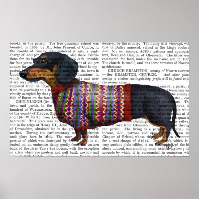 Dachshund med ylle poster (Framsidan)