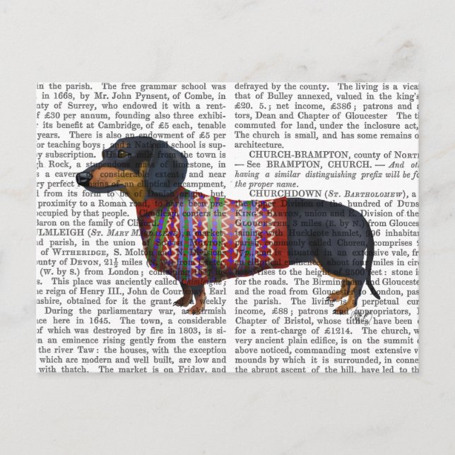 Dachshund med ylle vykort (Framsida)