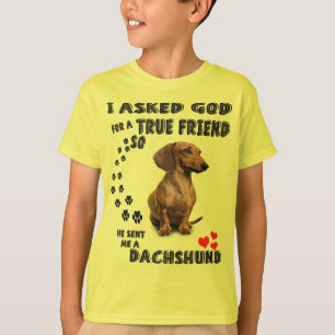 Dachshund Miniature Gift, Sause Hund, Weenie Wog T Shirt