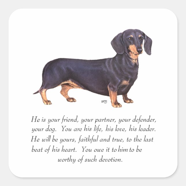 Dachshund- minnesgåva - hane fyrkantigt klistermärke (Framsida)