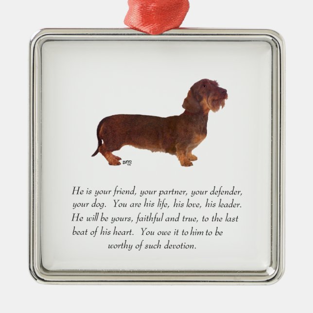 Dachshund- minnesgåva - hane julgransprydnad metall (Framsidan)