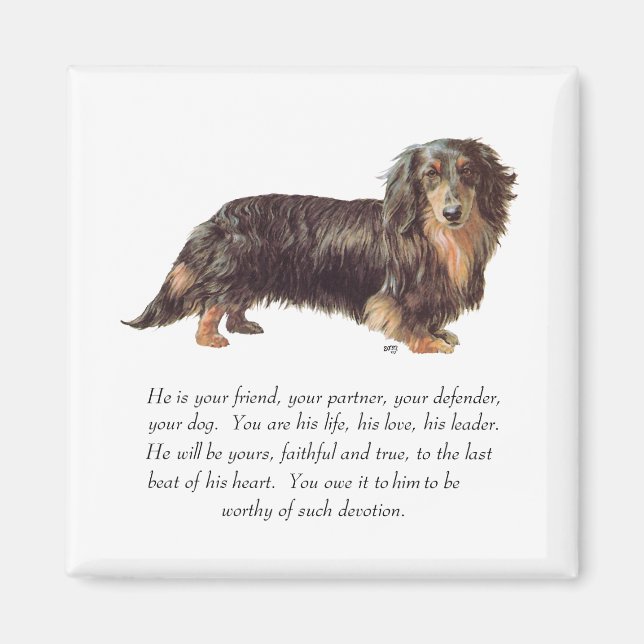 Dachshund- minnesgåva - hane magnet (Framsidan)