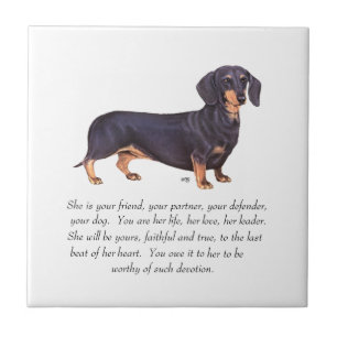 Dachshund- minnesgåva - hona kakelplatta