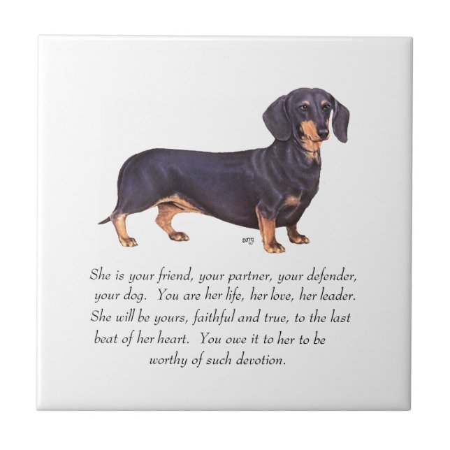 Dachshund- minnesgåva - hona kakelplatta (Framsidan)