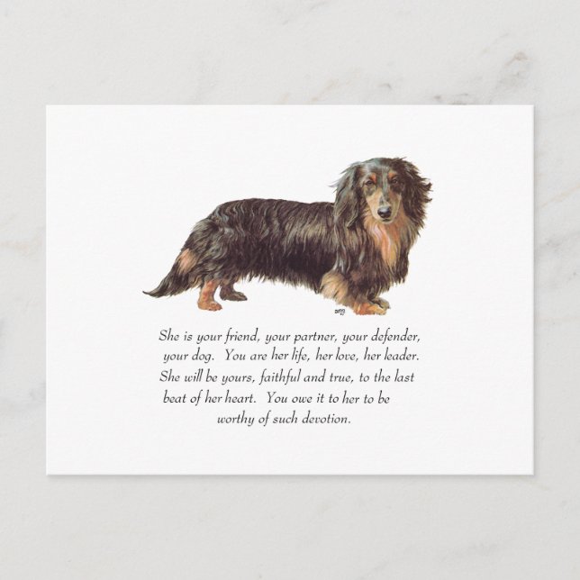 Dachshund- minnesgåva - Hona Vykort (Framsida)