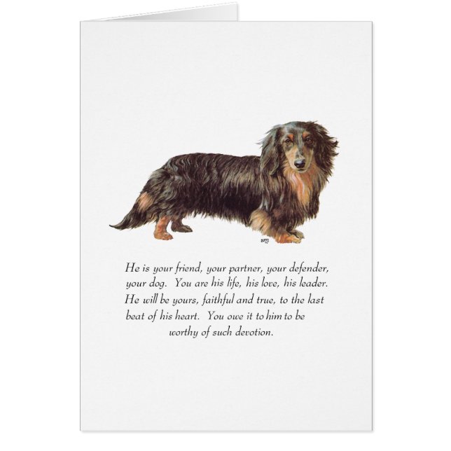 Dachshund- minnessak - hane hälsningskort (Framsidan)
