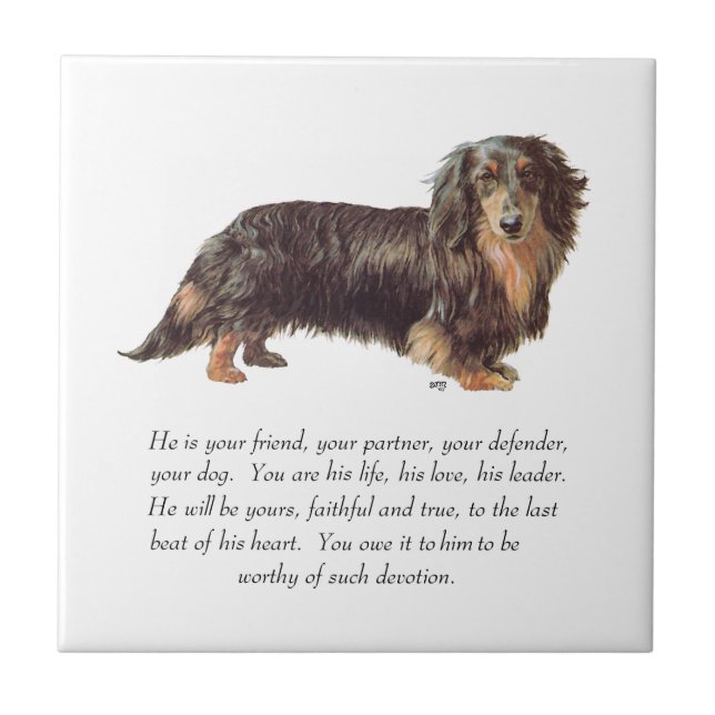 Dachshund- minnessak - hane kakelplatta (Framsidan)