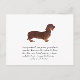 Dachshund- minnessak - hane vykort