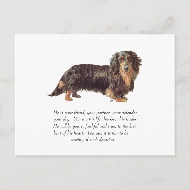 Dachshund- minnessak - hane vykort (Framsida)