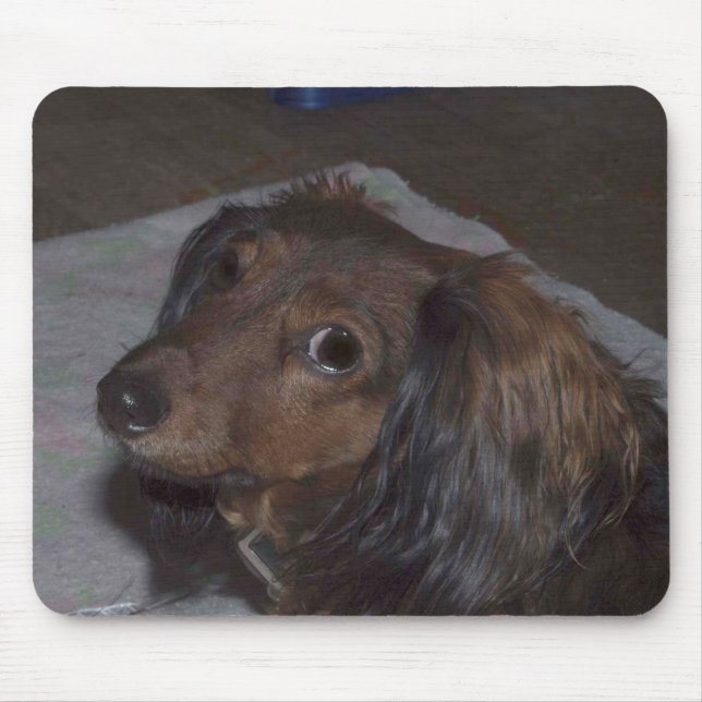 Dachshund Mousepad Musmatta (Framsidan)