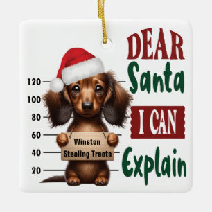 Dachshund Mugg Shot: Bästa tomten jag kan förklara Julgransprydnad Keramik