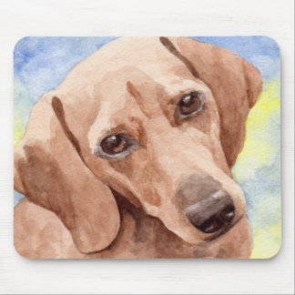 Dachshund Musmatta