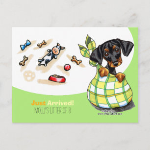 Dachshund New Puppy Social Vykort
