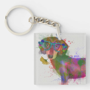 Dachshund och Glass Rainbow Stänk