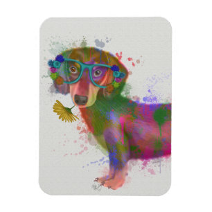 Dachshund och Glass Rainbow Stänk Magnet