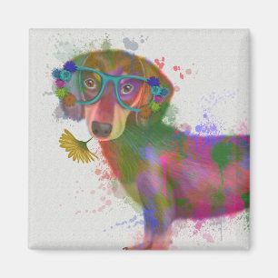 Dachshund och Glass Rainbow Stänk Magnet
