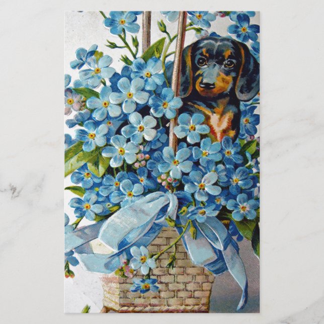 Dachshund och Glöm mig-Nots Brevpapper (Framsida)