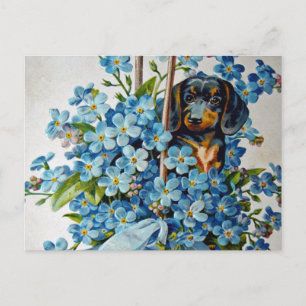 Dachshund och Glöm mig-Nots Vykort