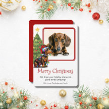 Dachshund och Julgran Pet Hund One Photo