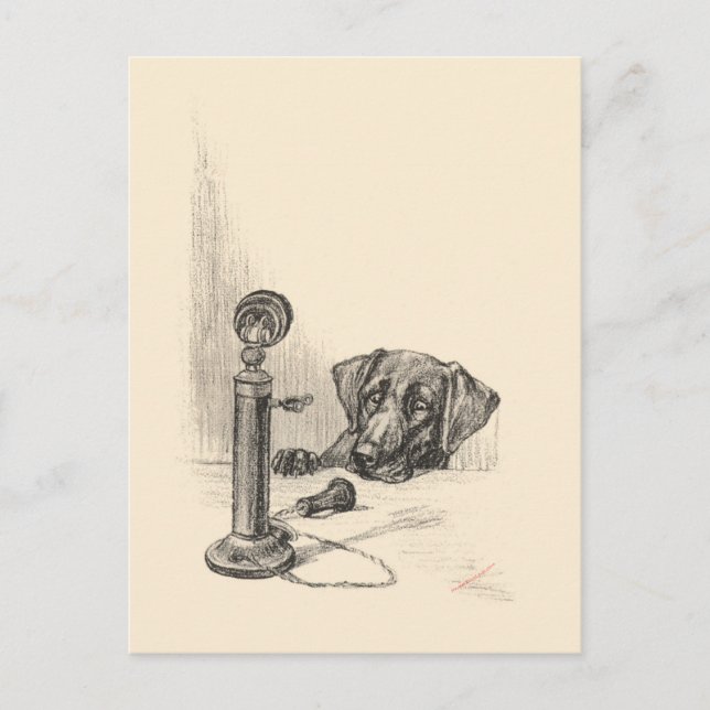 Dachshund och vintage telefon vykort (Framsida)