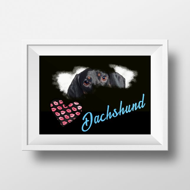 Dachshund Öga Solid Färg Poster (Skapare uppladdad)