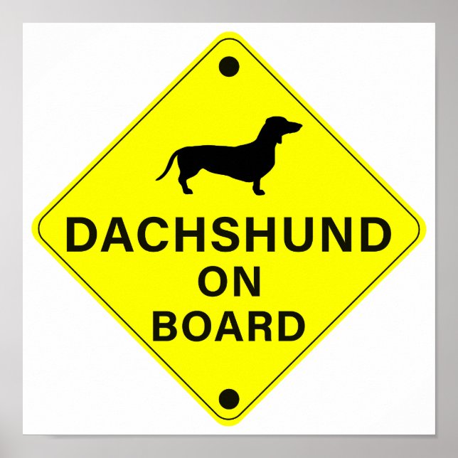 Dachshund ombord på Rolig hund stötfångare Poster (Framsidan)