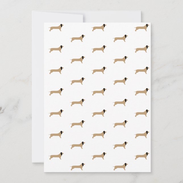 Dachshund Papper (Framsida)