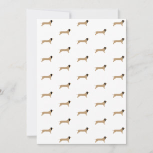 Dachshund Papper